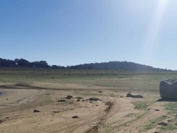 2023-09-29 SALAMANDRA II